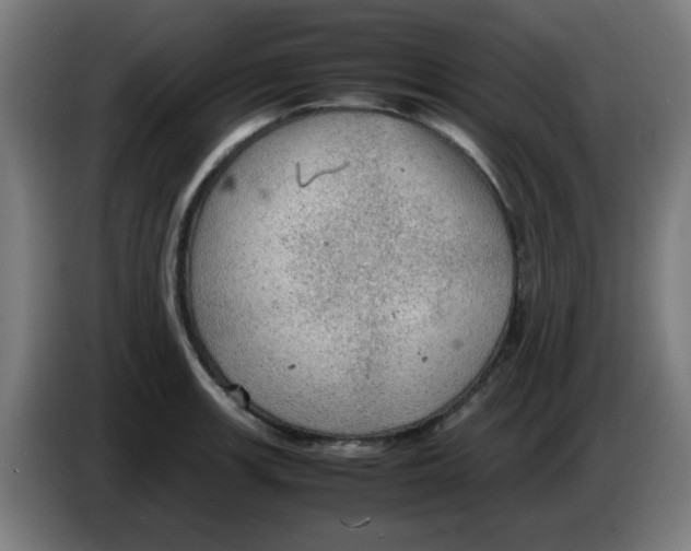 X0000086231139200704261851