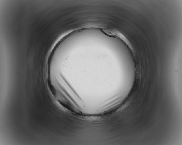 X0000086231140200704261851