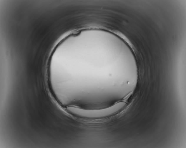 X0000086231142200704261851