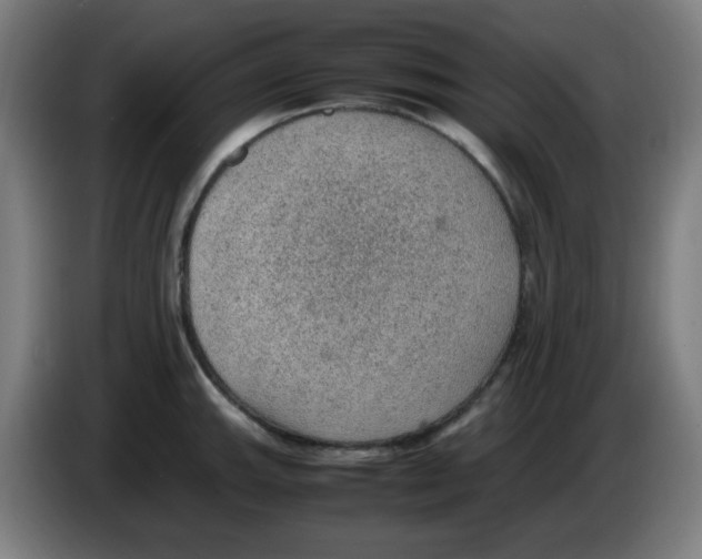 X0000086231143200704261851