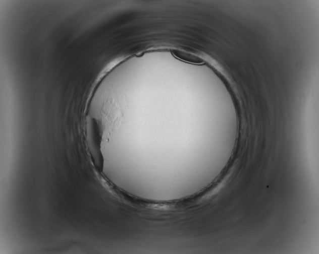 X0000086231145200704261851