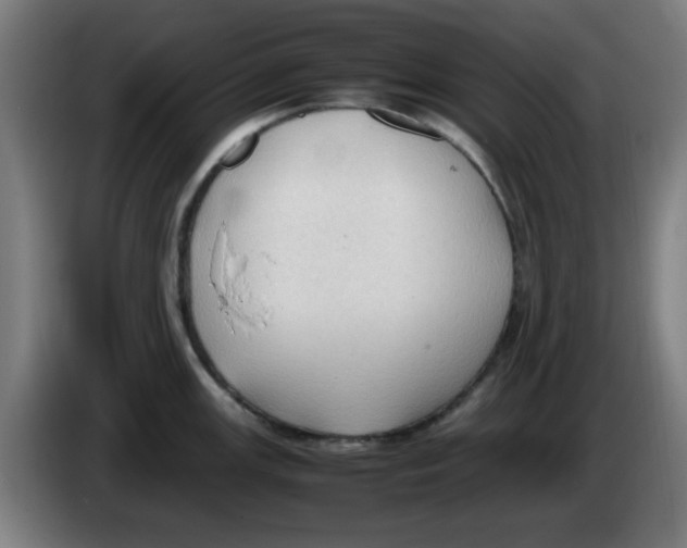 X0000086231147200704261851