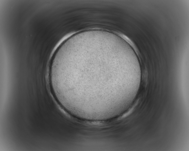 X0000086231149200704261851