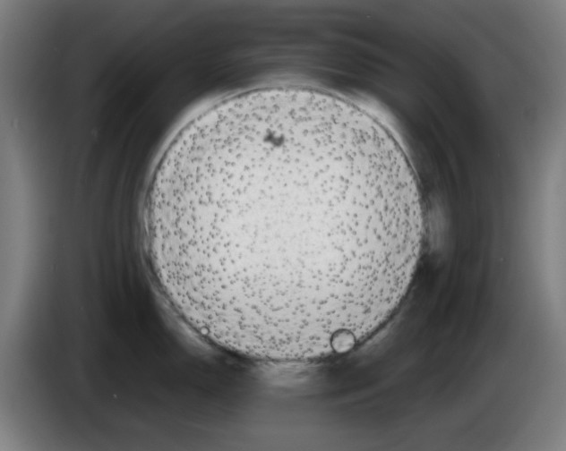 X0000086231150200704261851