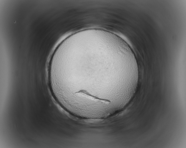 X0000086231151200704261851