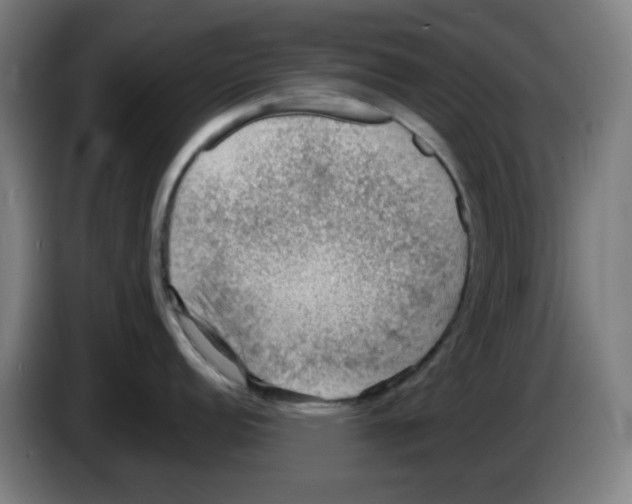 X0000086231152200704261851