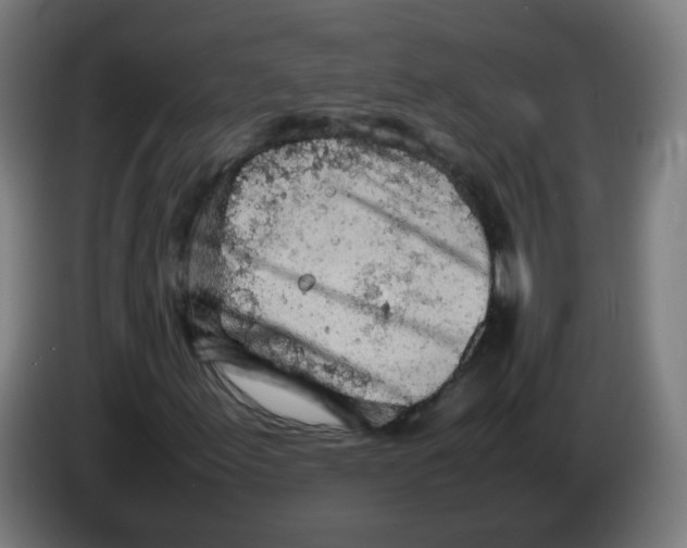 X0000086231155200704261850