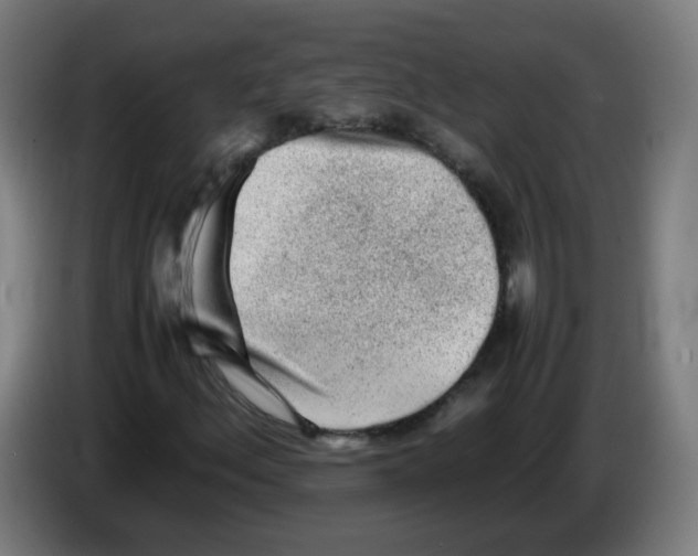 X0000086231156200704261850