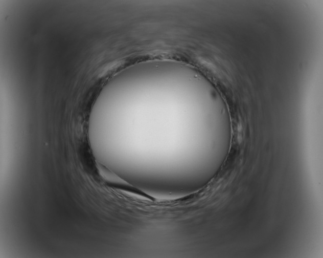 X0000086231157200704261850