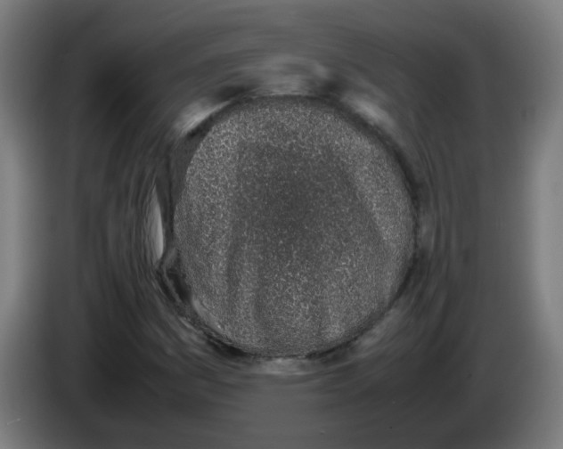 X0000086231161200704261850