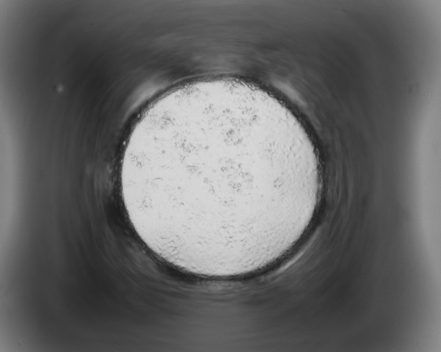 X0000086231163200704261850