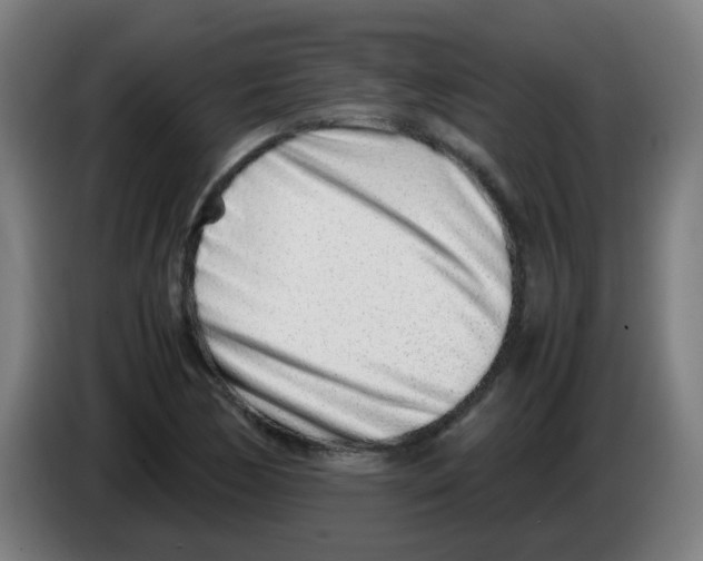 X0000086231170200704261850