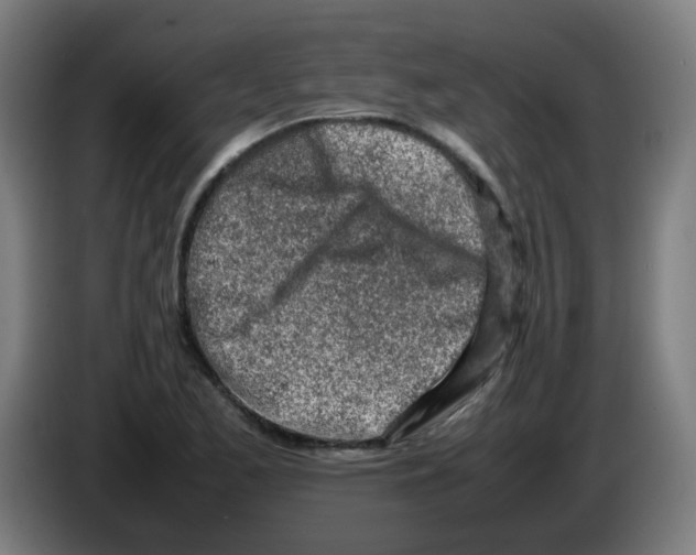 X0000086231173200704261850