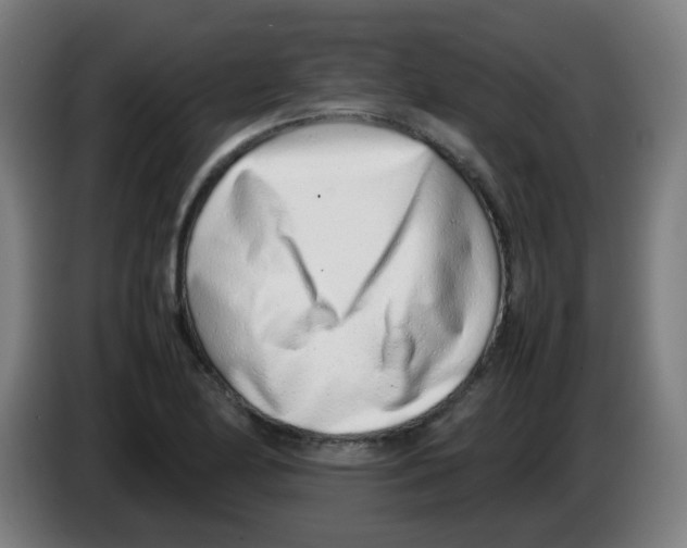 X0000086231174200704261850