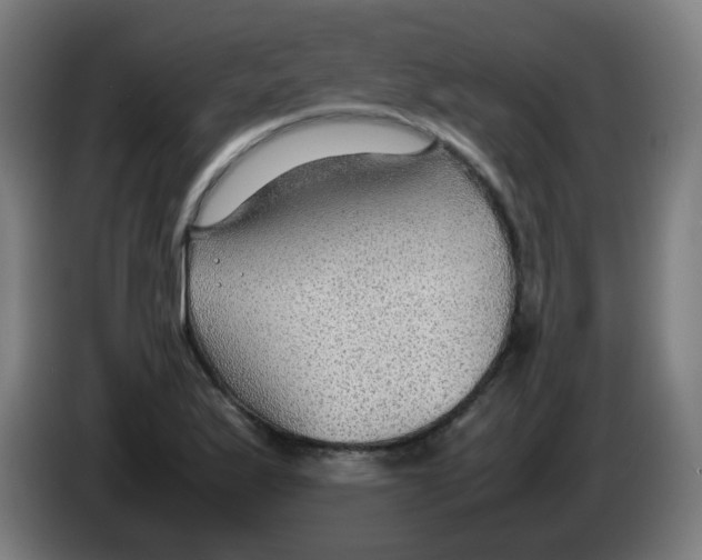 X0000086231175200704261850