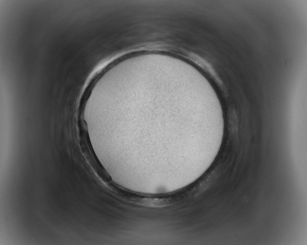 X0000086231176200704261850