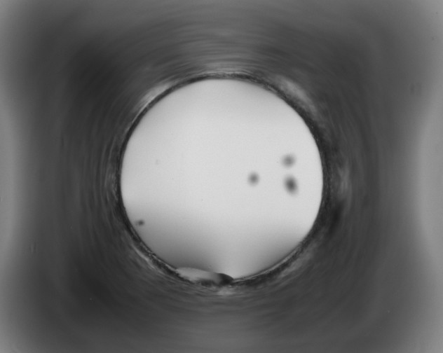 X0000086231177200704261850