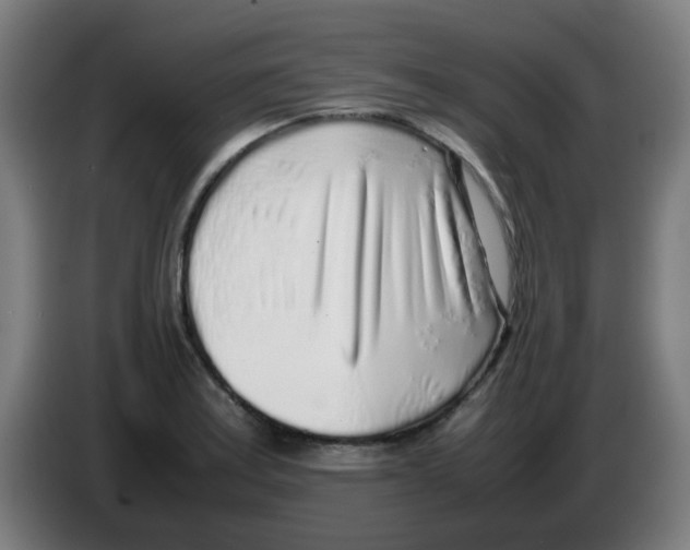 X0000086231179200704261850