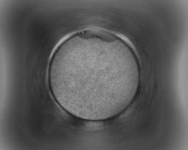 X0000086231183200704261850