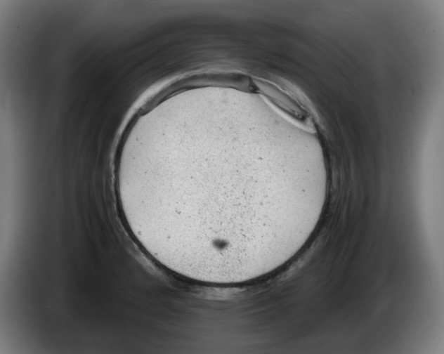 X0000086231184200704261850