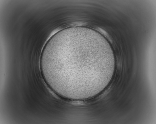 X0000086231186200704261850