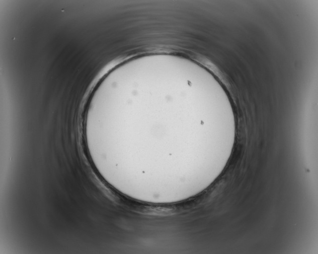 X0000086231187200704261850