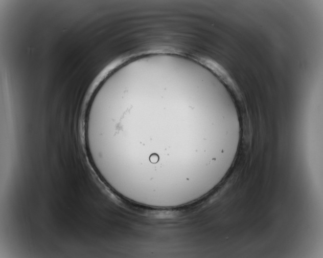 X0000086231188200704261850