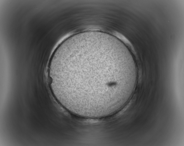 X0000086231190200704261850