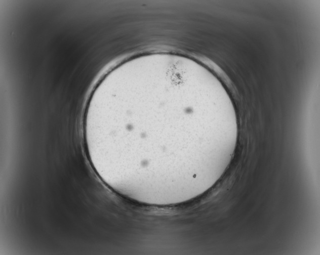 X0000086231191200704261850