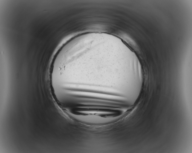 X0000086231192200704261850