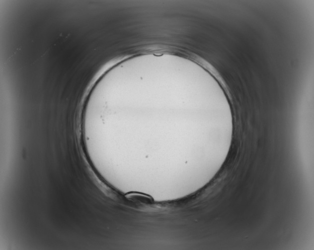 X0000086231195200704261850