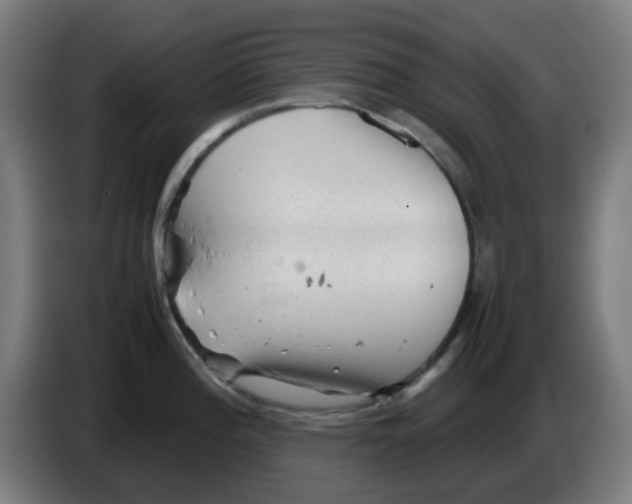 X0000086231196200704261850