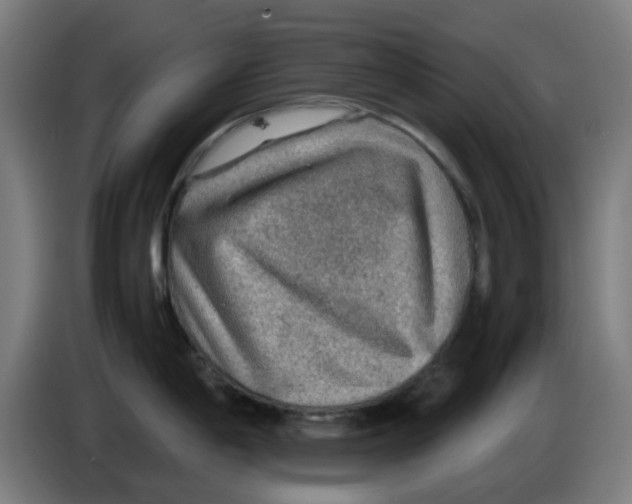 X0000086231198200704261850