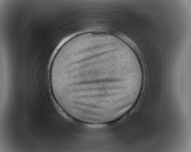 X0000086231200200704261850