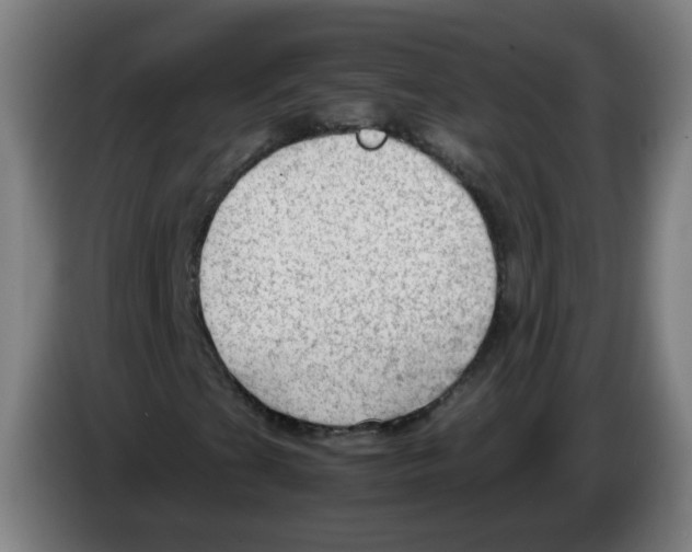 X0000086231201200704261849