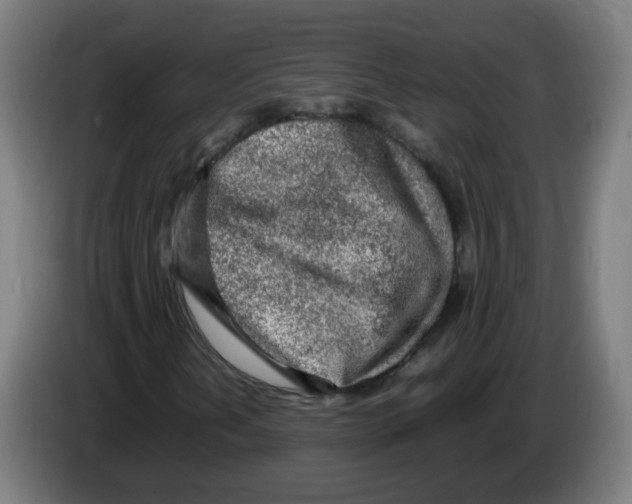 X0000086231202200704261849