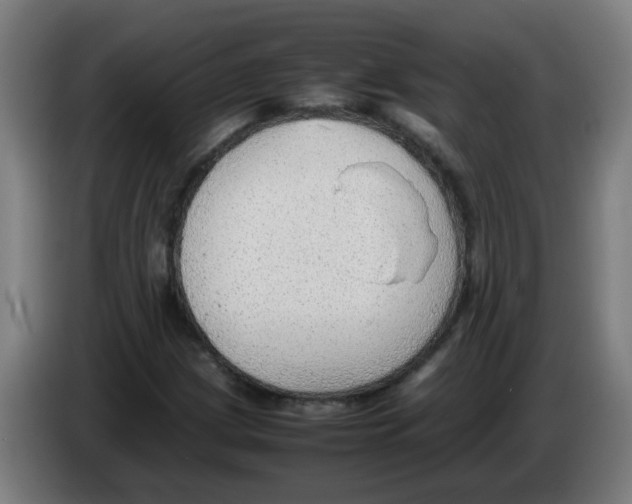 X0000086231209200704261849