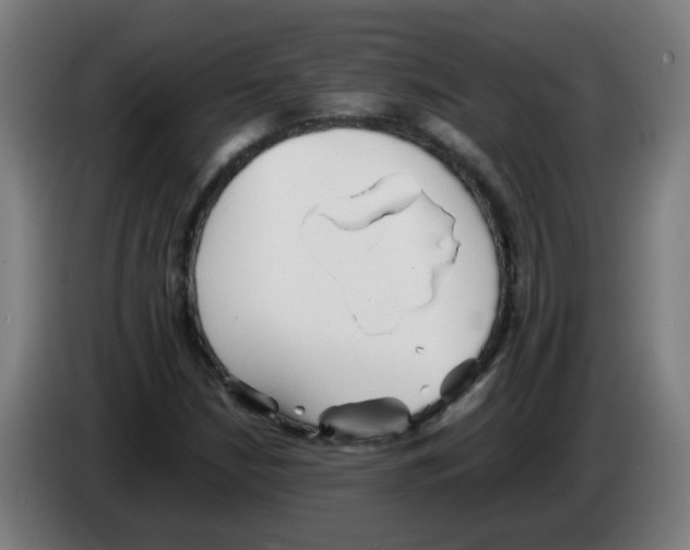 X0000086231210200704261849