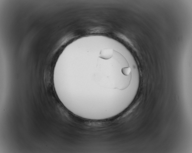 X0000086231211200704261849