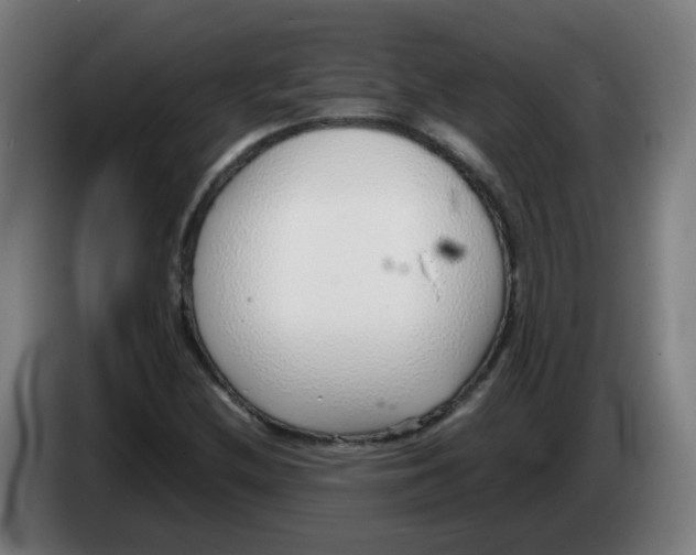 X0000086231212200704261849