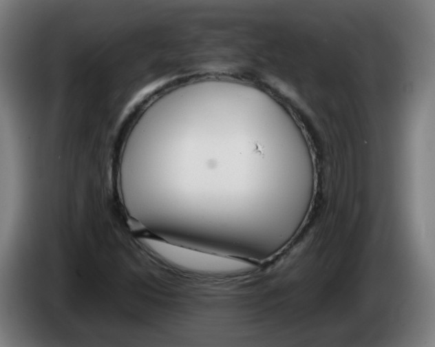 X0000086231214200704261849