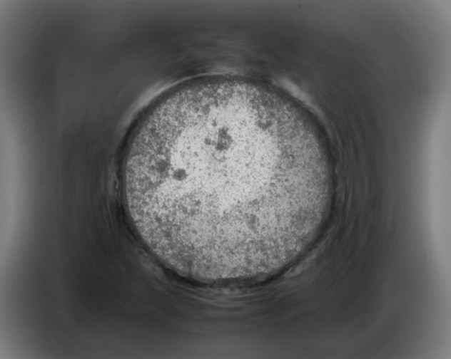 X0000086231215200704261849