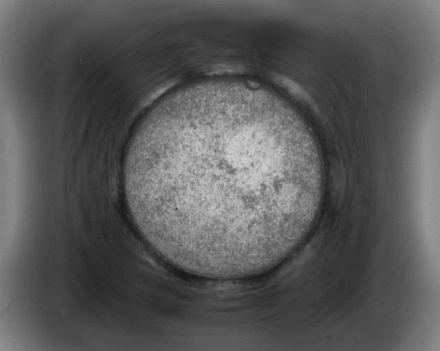 X0000086231217200704261849