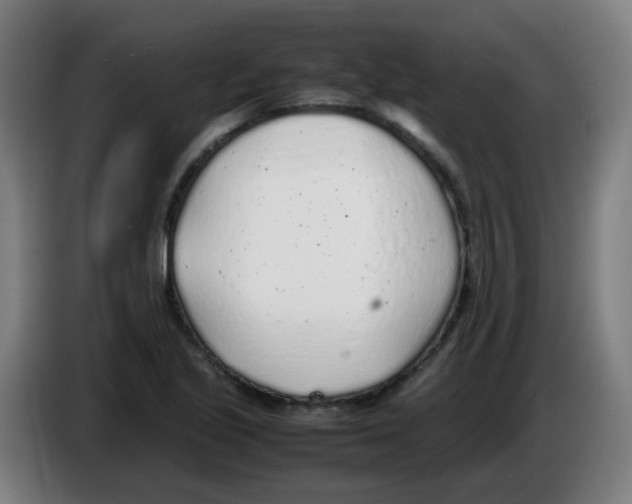 X0000086231221200704261849