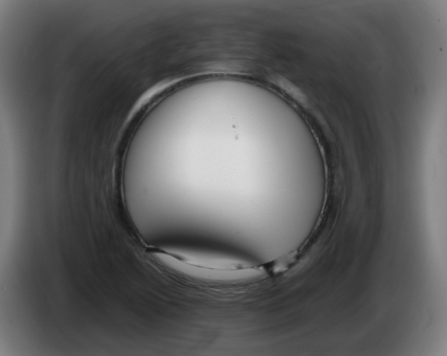 X0000086231222200704261849