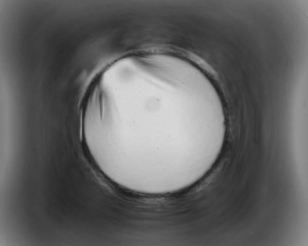 X0000086231223200704261849