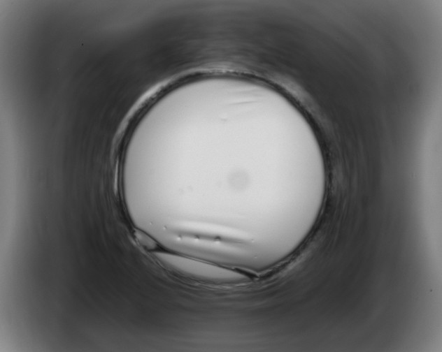 X0000086231224200704261849