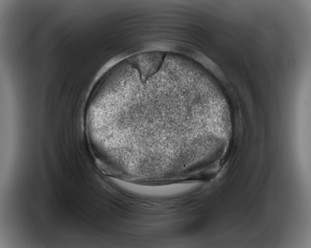 X0000086231226200704261850