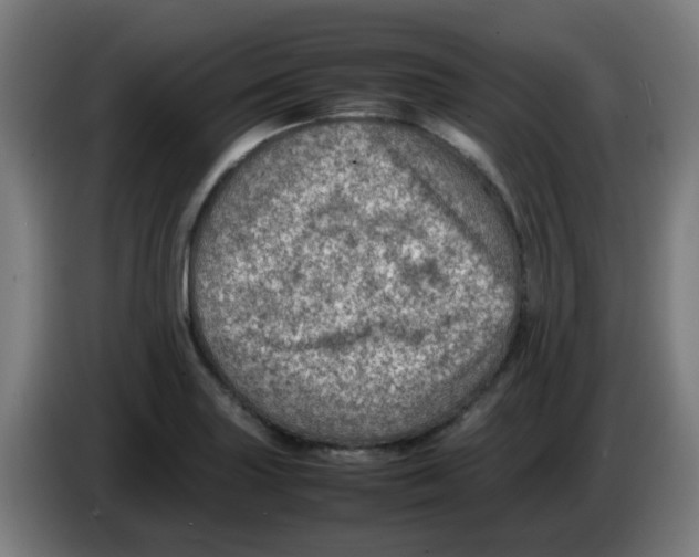 X0000086231227200704261850