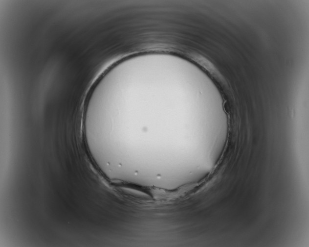 X0000086231228200704261850